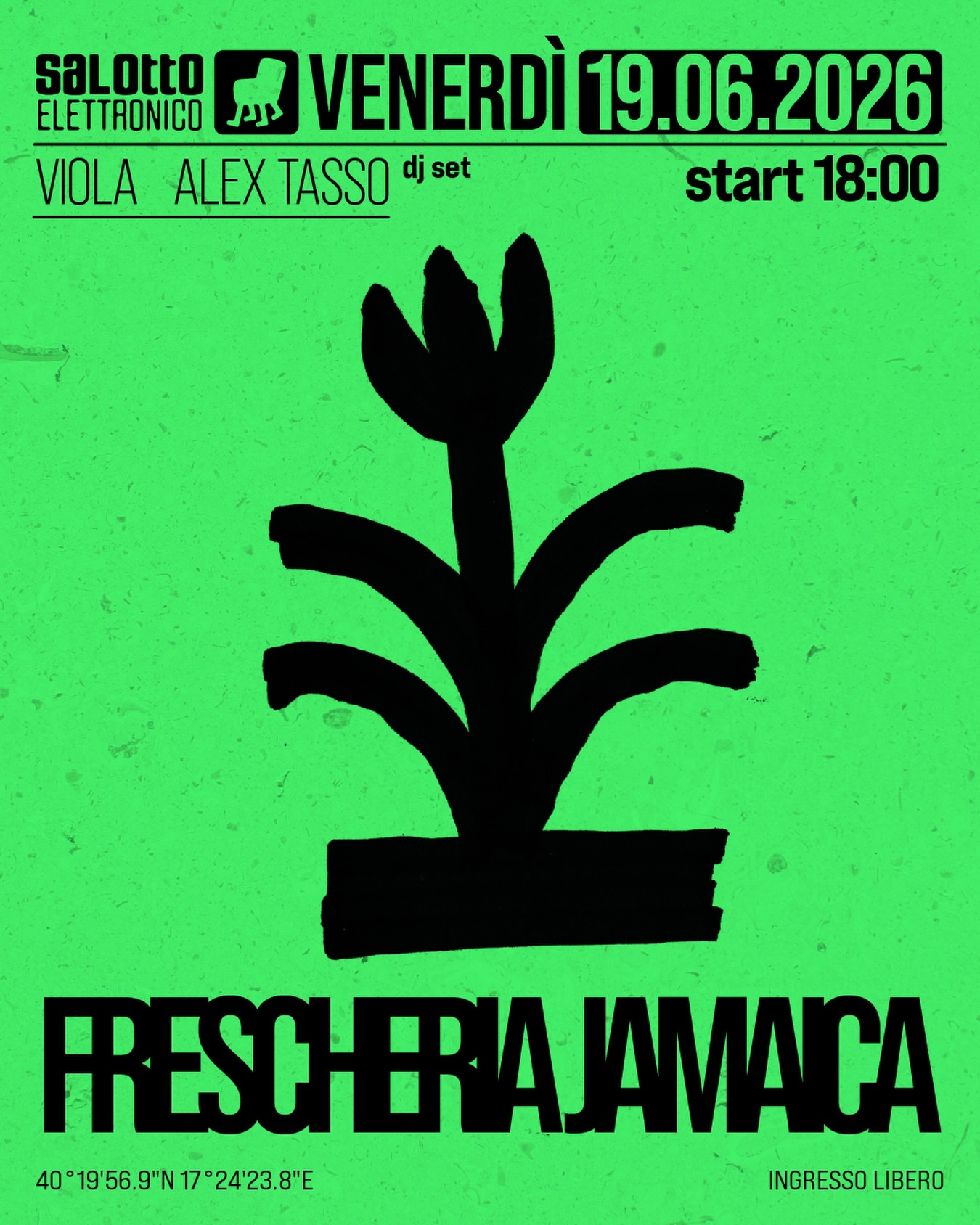 Salotto Elettronico · Viola + Alex Tasso in Frescheria Jamaica