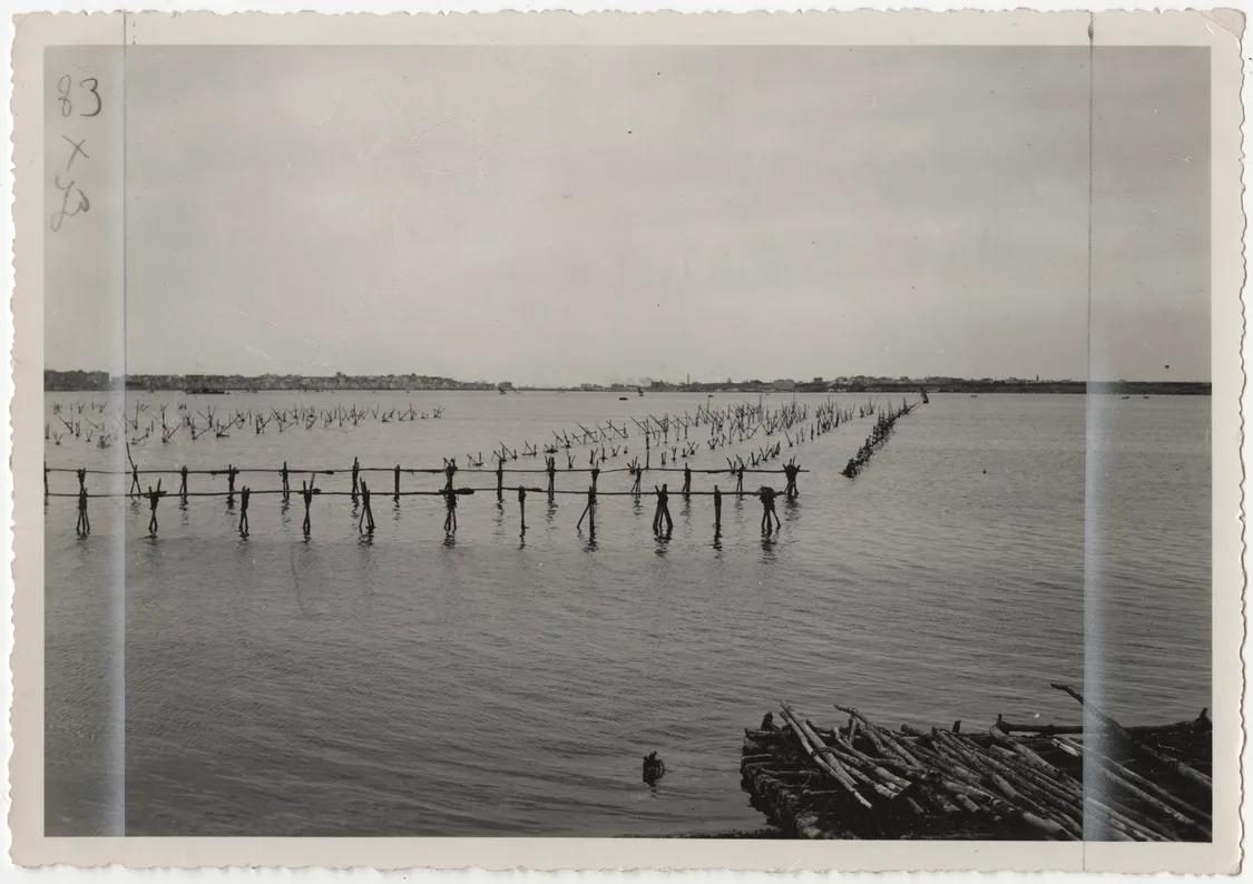 Gli impianti di mitilicoltura nel Mar Piccolo di Taranto in una fotografia del 1934 del Touring Club Italiano