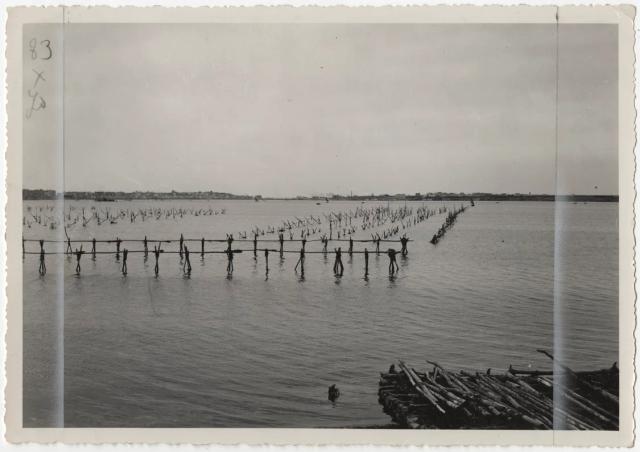 Gli impianti di mitilicoltura nel Mar Piccolo di Taranto in una fotografia del 1934 del Touring Club Italiano