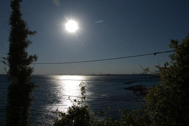 Il sole in controluce sul Mar Grande di Taranto visto tra i pini del lungomare