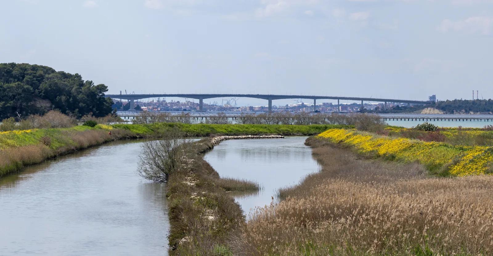 Il ponte Punta Penna Pizzone visto dalle sponde del Mar Piccolo di Taranto