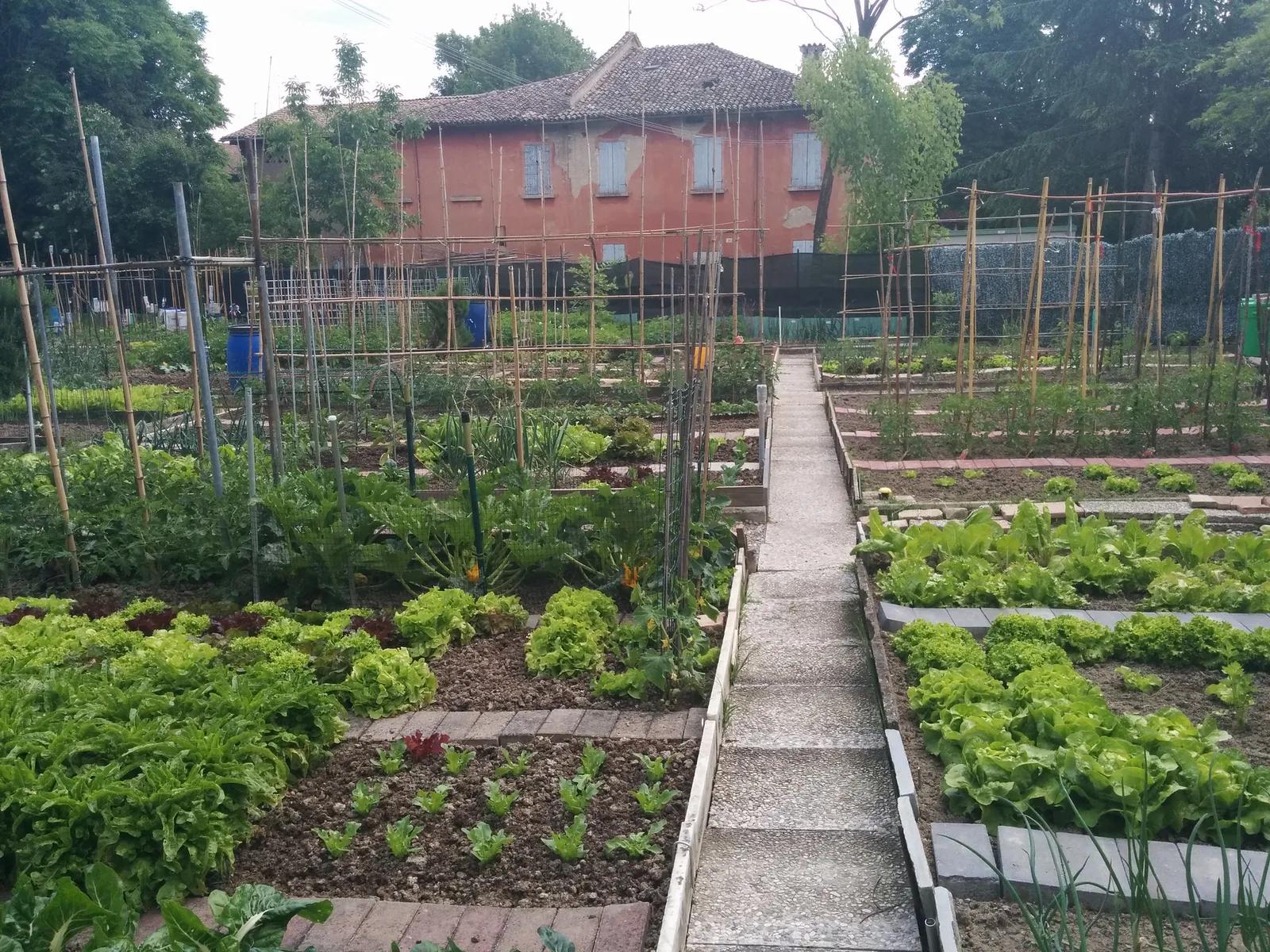 Gli orti di Paolo VI: una campagna in città e la sorpresa sotto terra