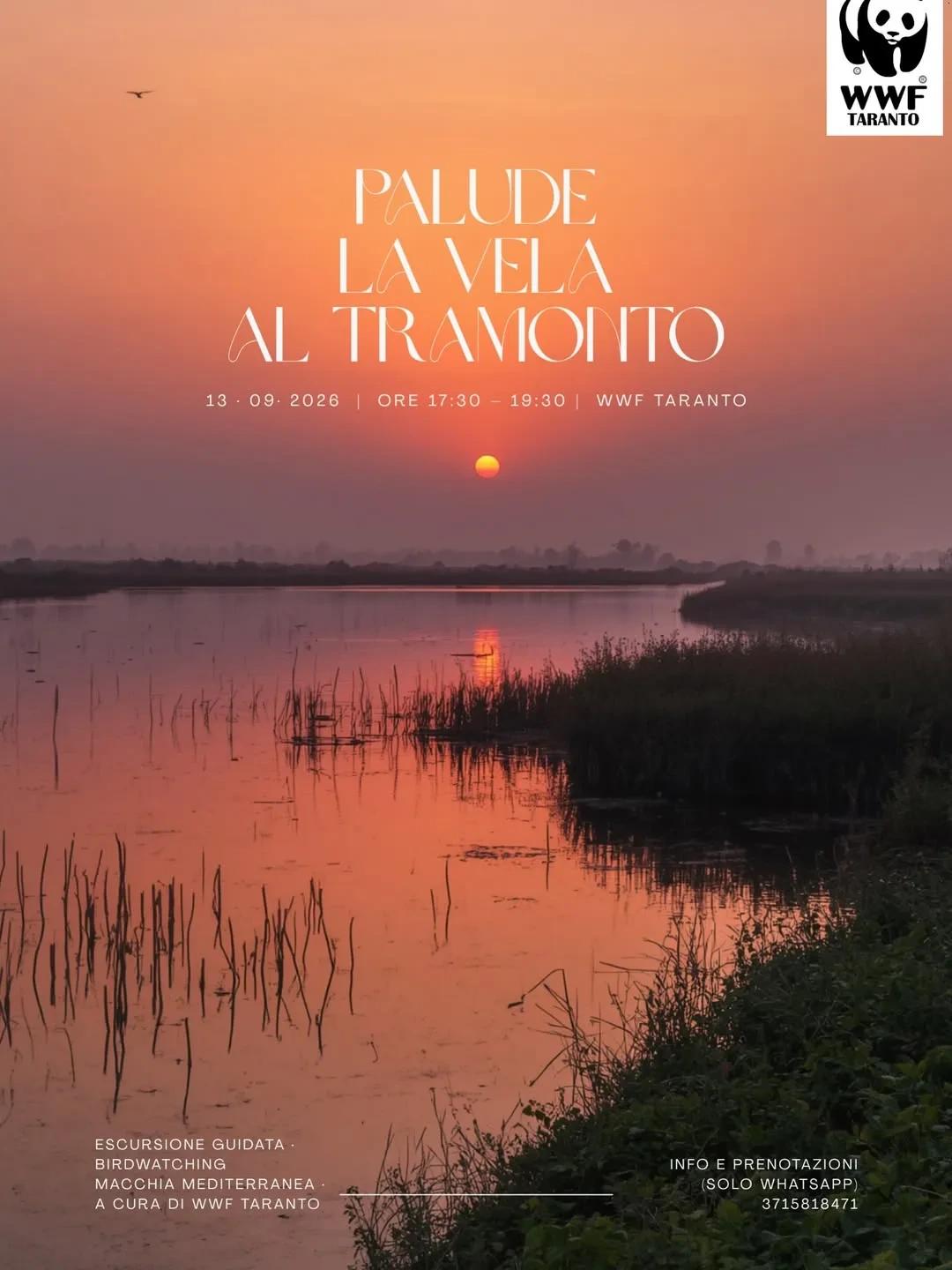 Palude La Vela al tramonto · escursione e birdwatching
