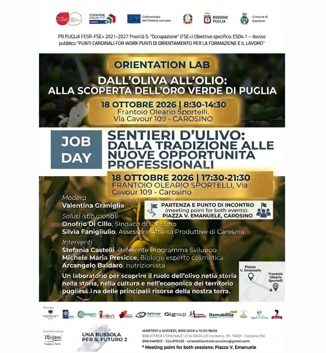 Sentieri d’ulivo · Job Day sulle opportunità dell’olivo