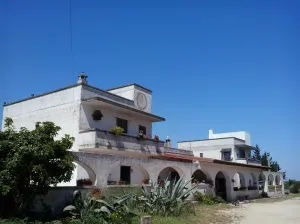 Urupia