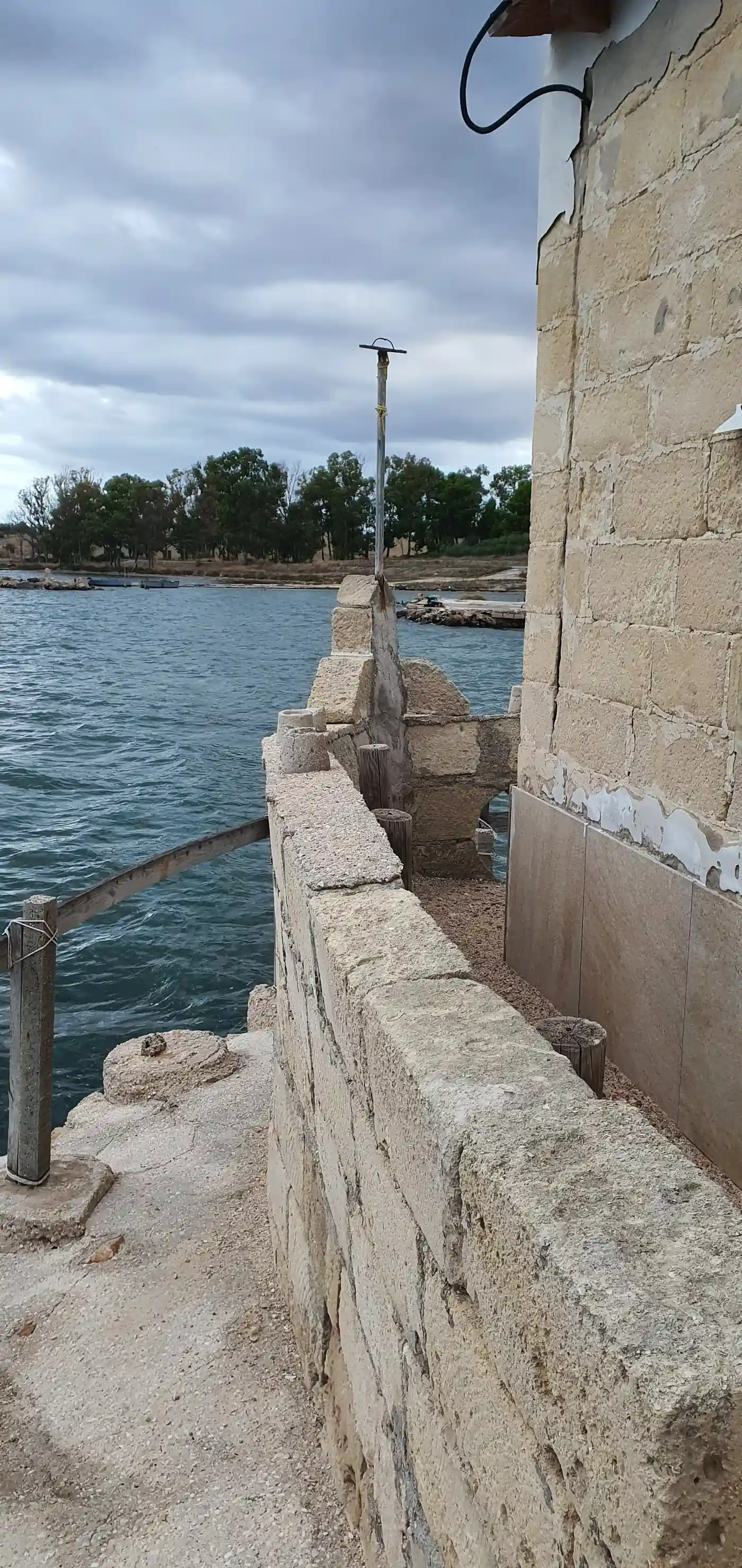 Arca Dell Salvezza