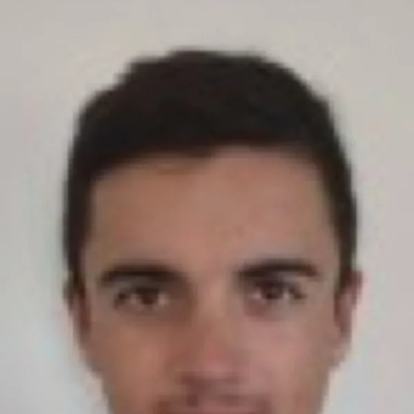 Afonso Miguel Martins Silva