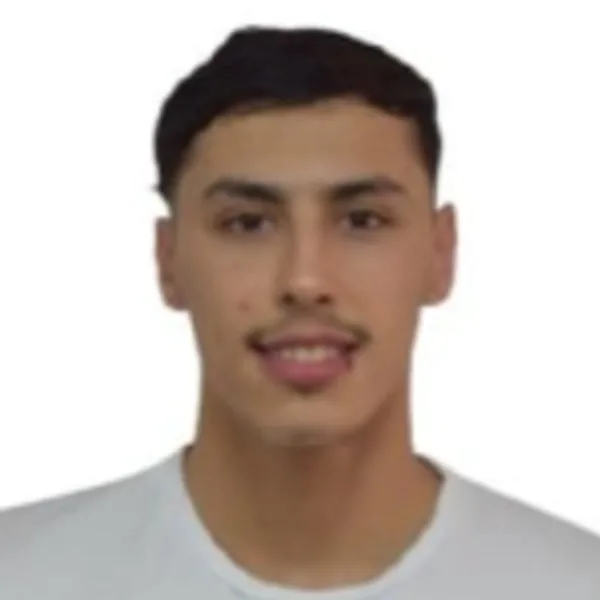 Ahmed Anisse Mahdi