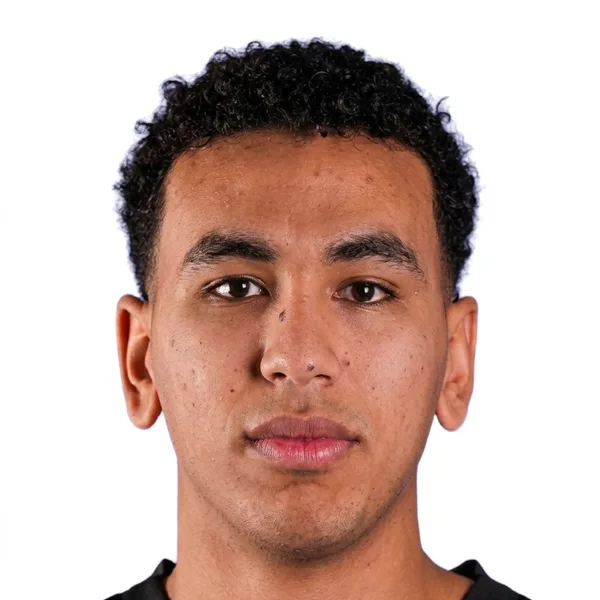 Ahmed Taghian Abdelsattar Ismail