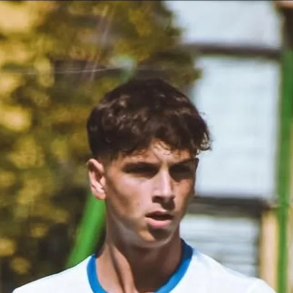 Diart Gashi