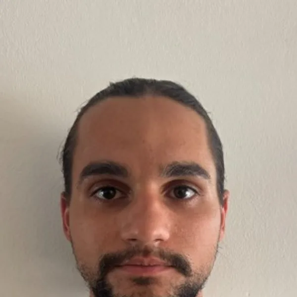 Georgios Ioannis Kritikos