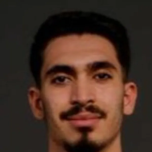 Hamza Hfaied