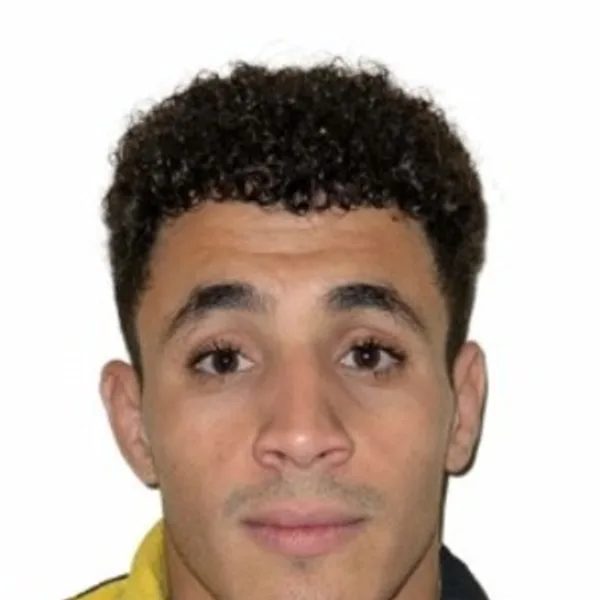 Mahmoud Farrag Mahmoud Saad