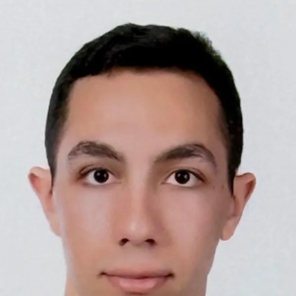 Mohamed Hamza