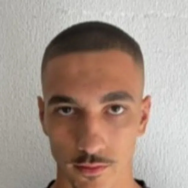 Oniks Grezda