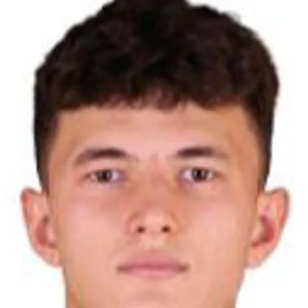 Taha Emre Ince