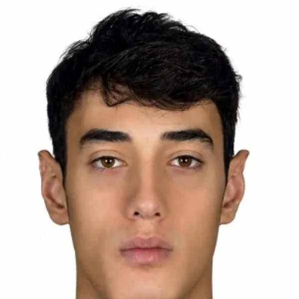 Yigit Hamza Aslan