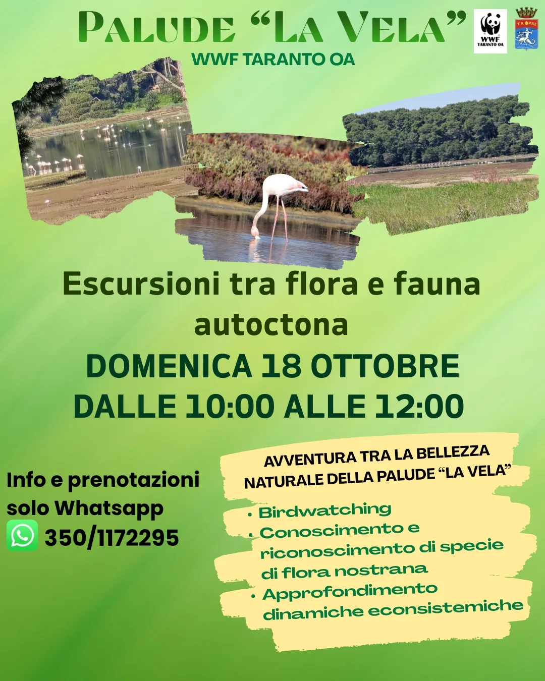 Escursione in Palude La Vela · flora e fauna con il WWF